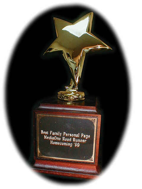 Web Site Award Trophy