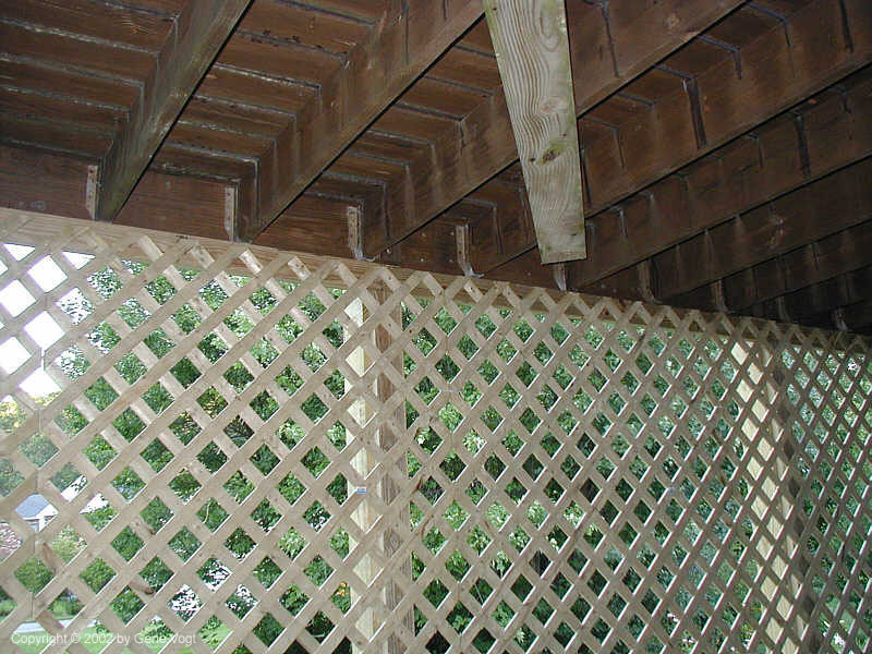 20020811-04_View_of_Lattice_from_Underneath
