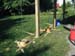 20020704-14_First_two_outer_edge_footings_done